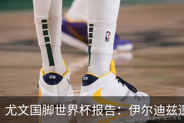 尤文国脚世界杯报告：伊尔迪兹遗憾出局，布雷默枯坐板凳